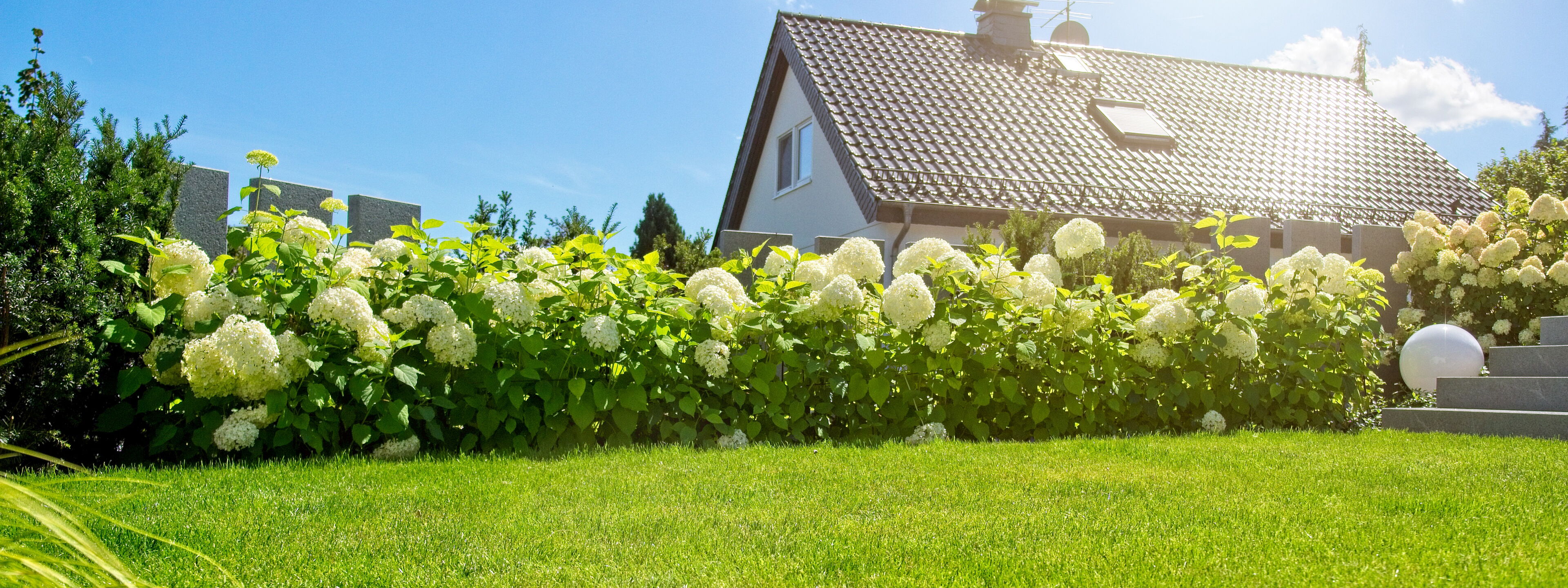 Inspiration Gartenbau Sebastian Laub      