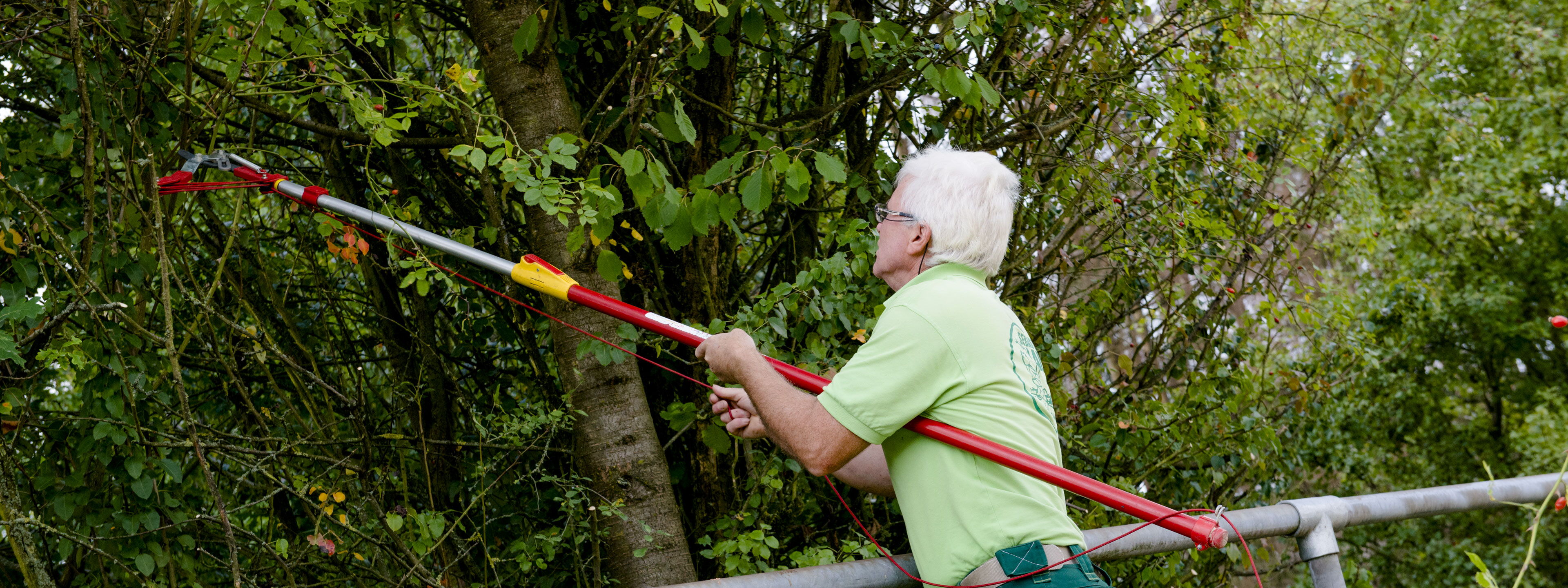 Frühlingspflege Gartenbau Sebastian Laub      