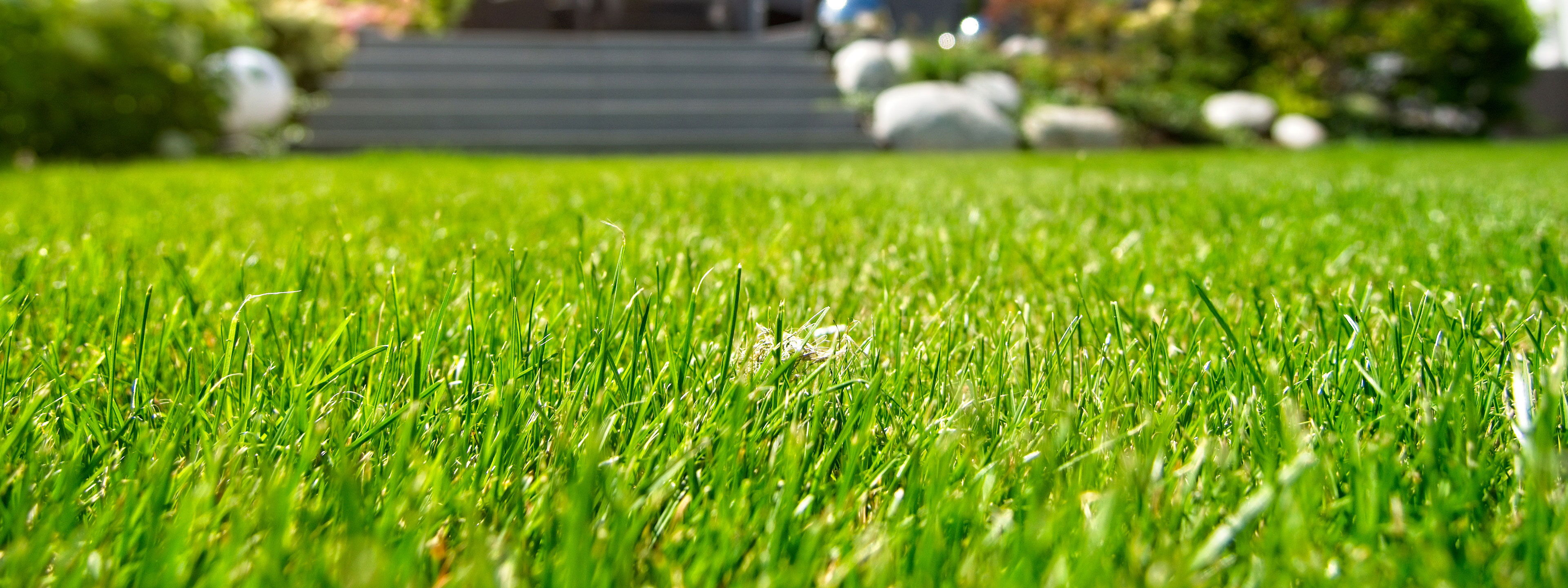 Rasenpflege Gartenbau Sebastian Laub      