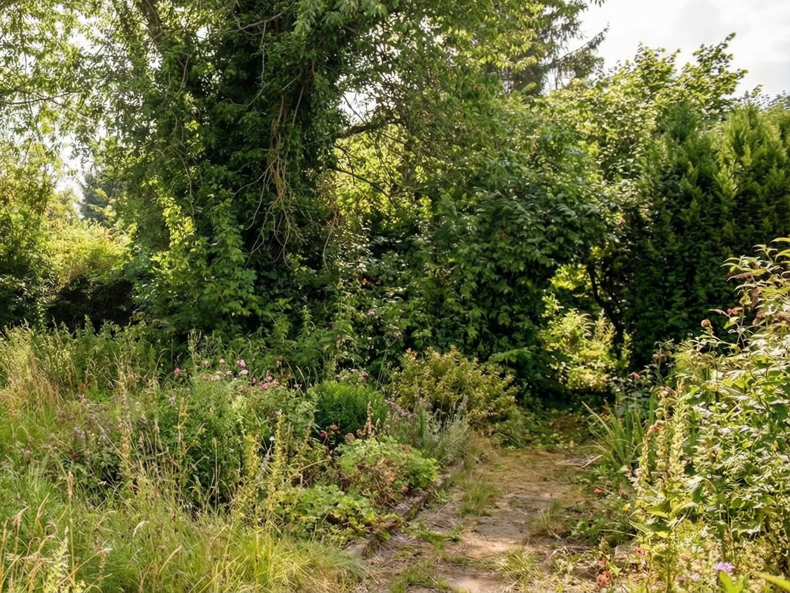 Grundstücksrodung Gartenbau Sebastian Laub      