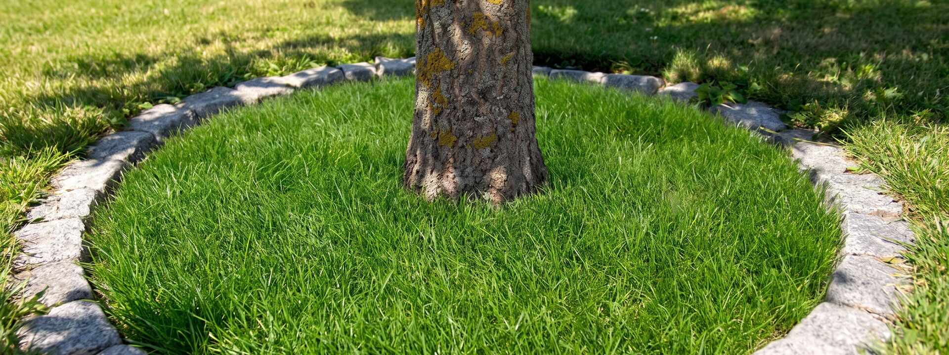 Ersatzpflanzung Gartenbau Sebastian Laub      
