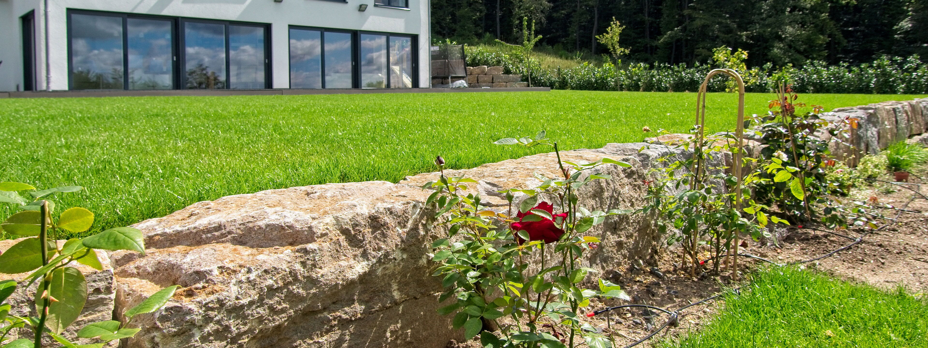 Gartensanierung Gartenbau Sebastian Laub      