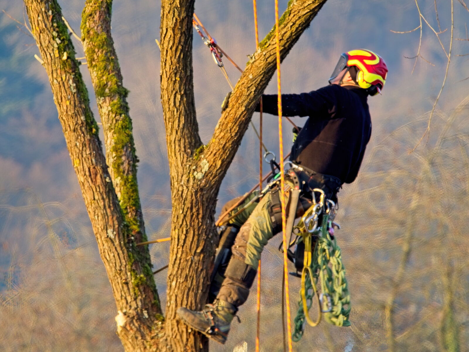 Unser Maschinenpark Gartenbau Sebastian Laub      