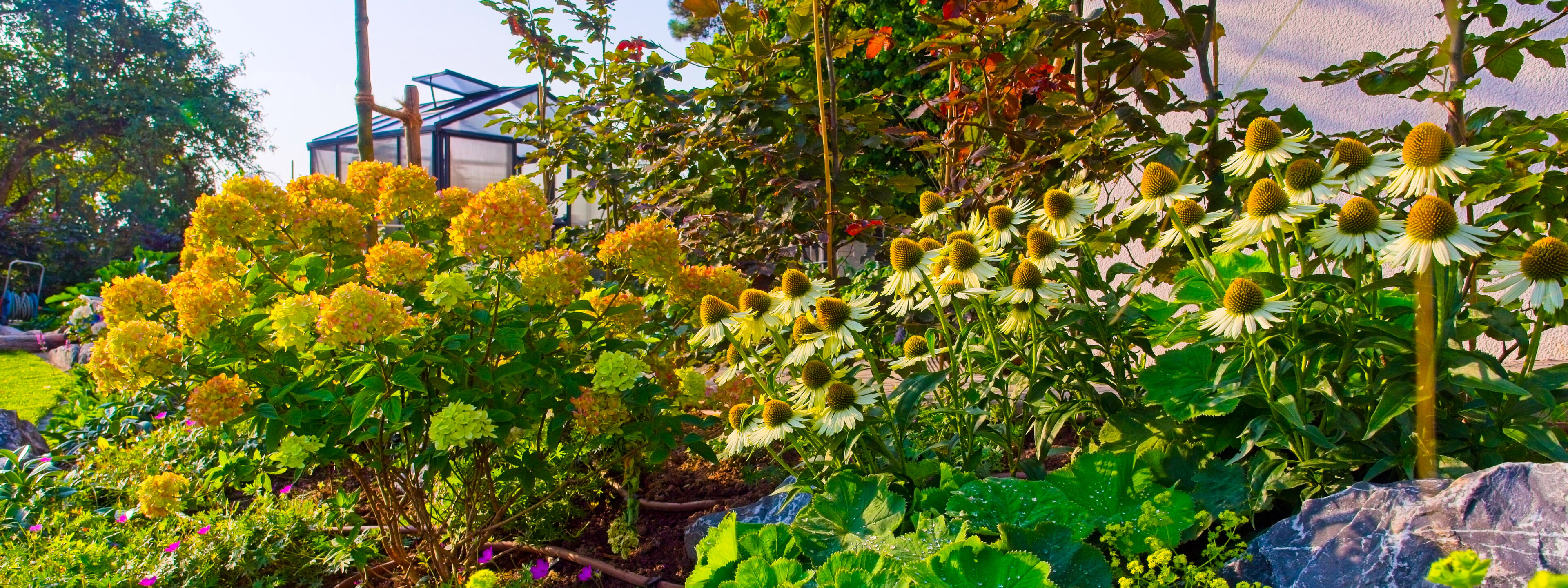 Bienenfreundliche Bepflanzung Gartenbau Sebastian Laub      
