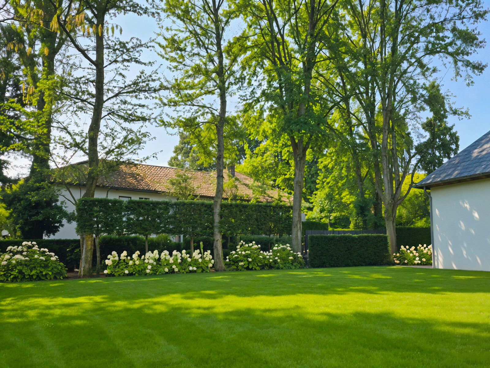 Startseite Gartenbau Sebastian Laub      