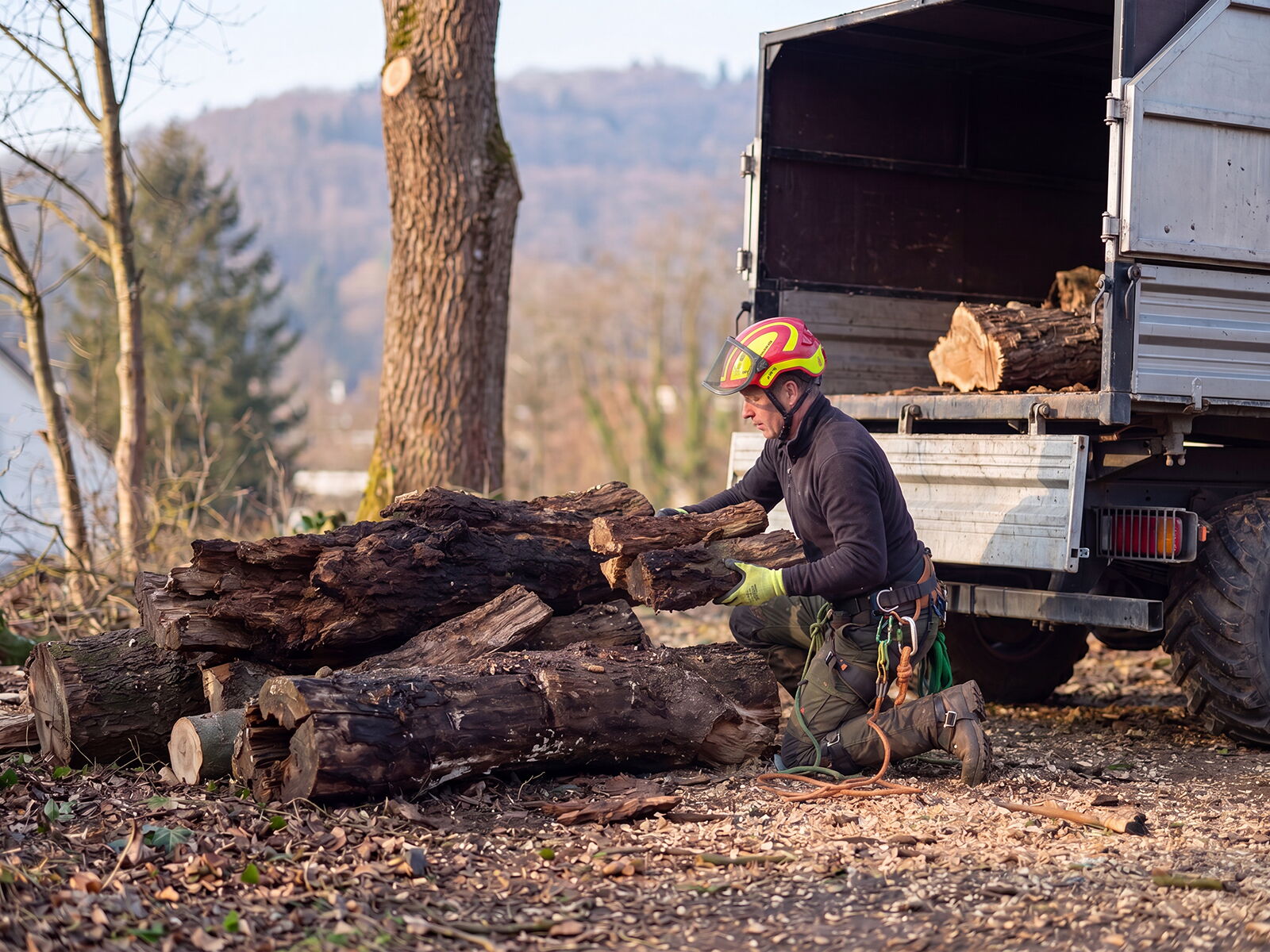 Baumfällung Gartenbau Sebastian Laub      