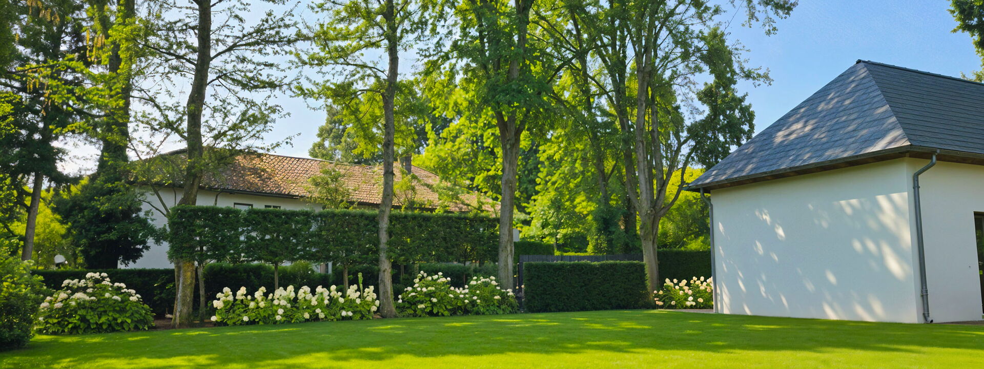 Bepflanzung Gartenbau Sebastian Laub      