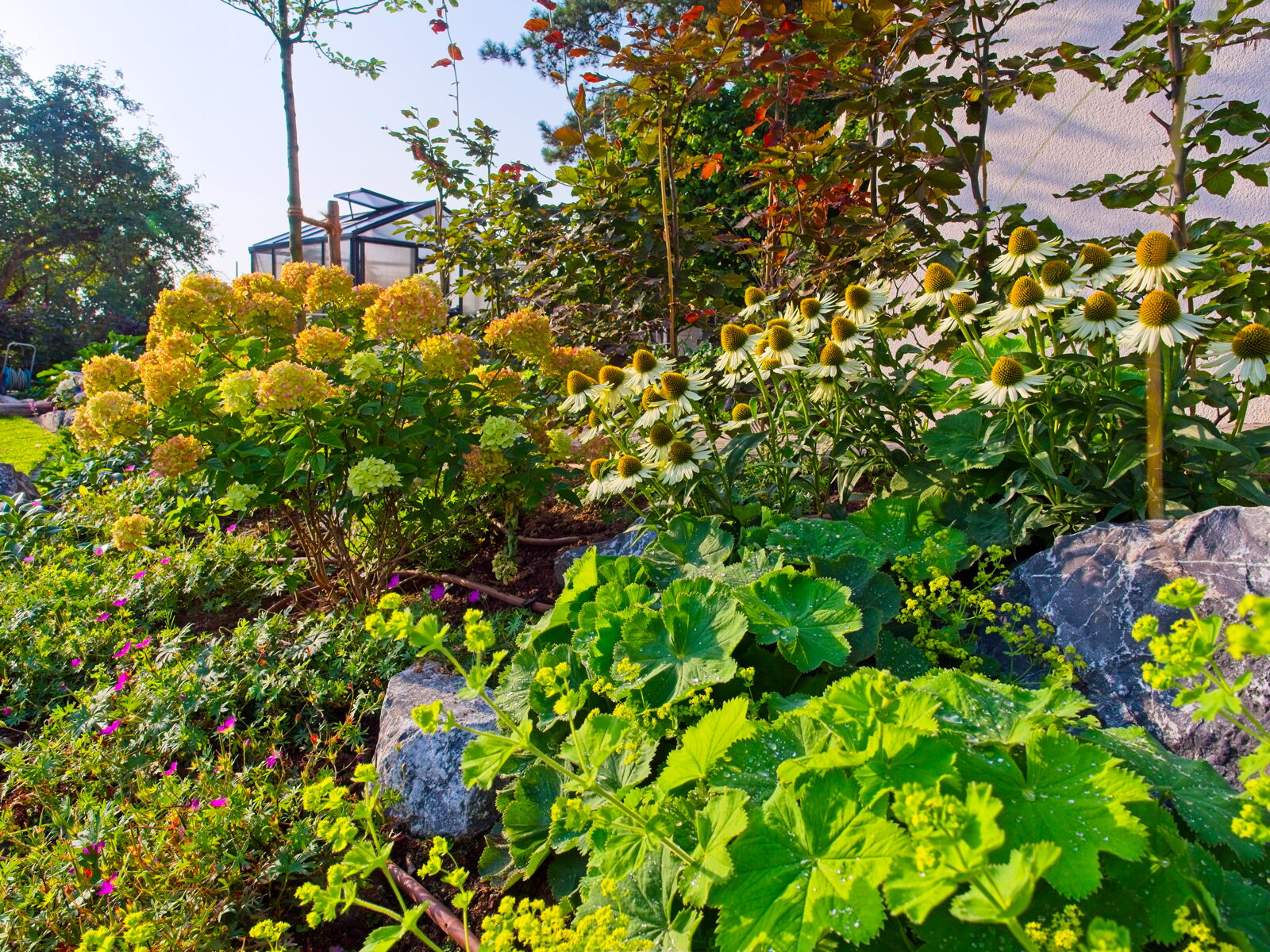 Familie Laub Gartenbau Sebastian Laub      