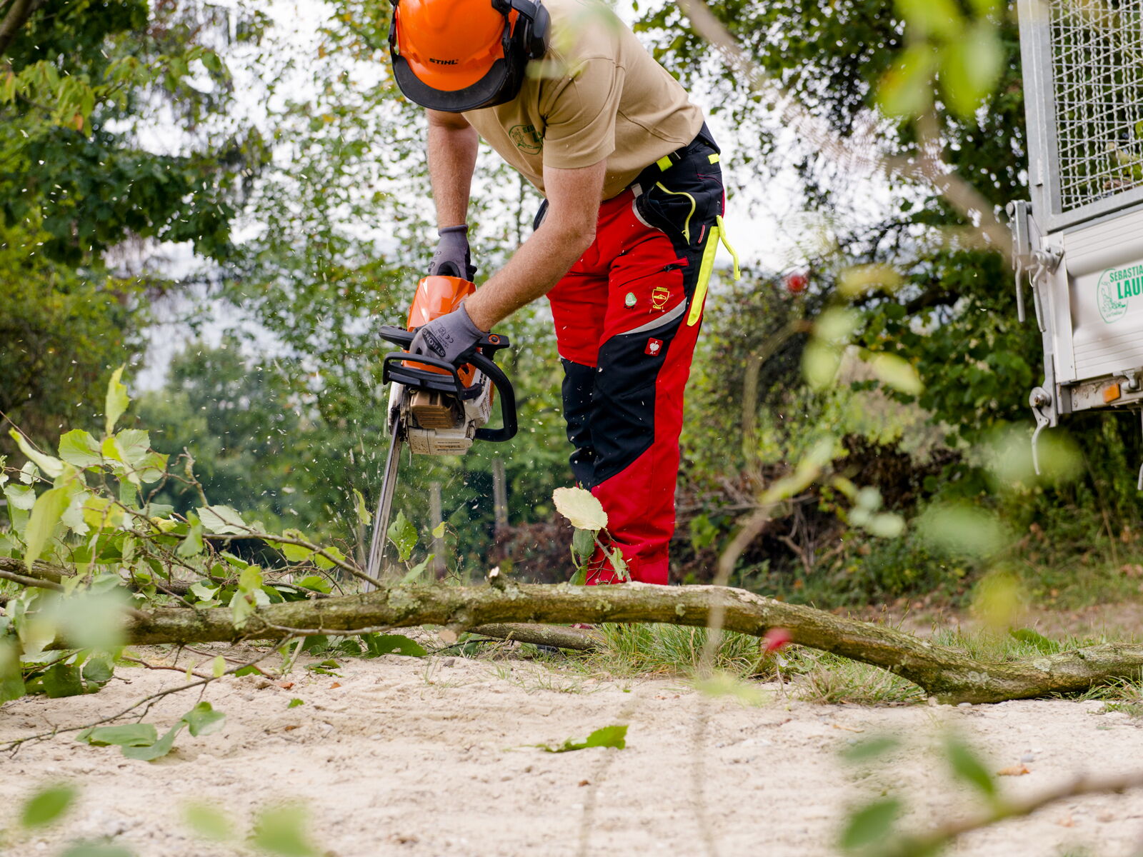 Heckenschnitt Gartenbau Sebastian Laub      