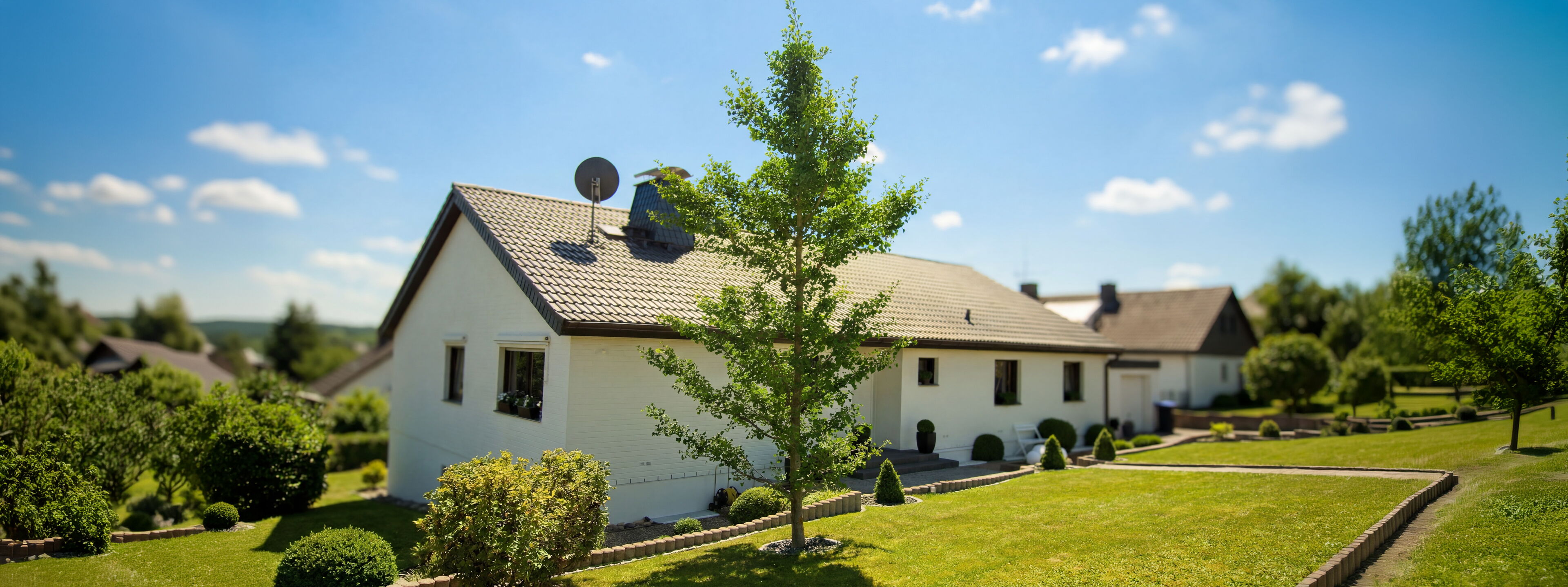 Baumpflanzung Gartenbau Sebastian Laub      