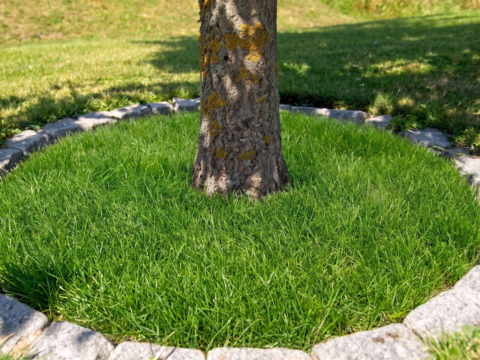 Bepflanzung Gartenbau Sebastian Laub      