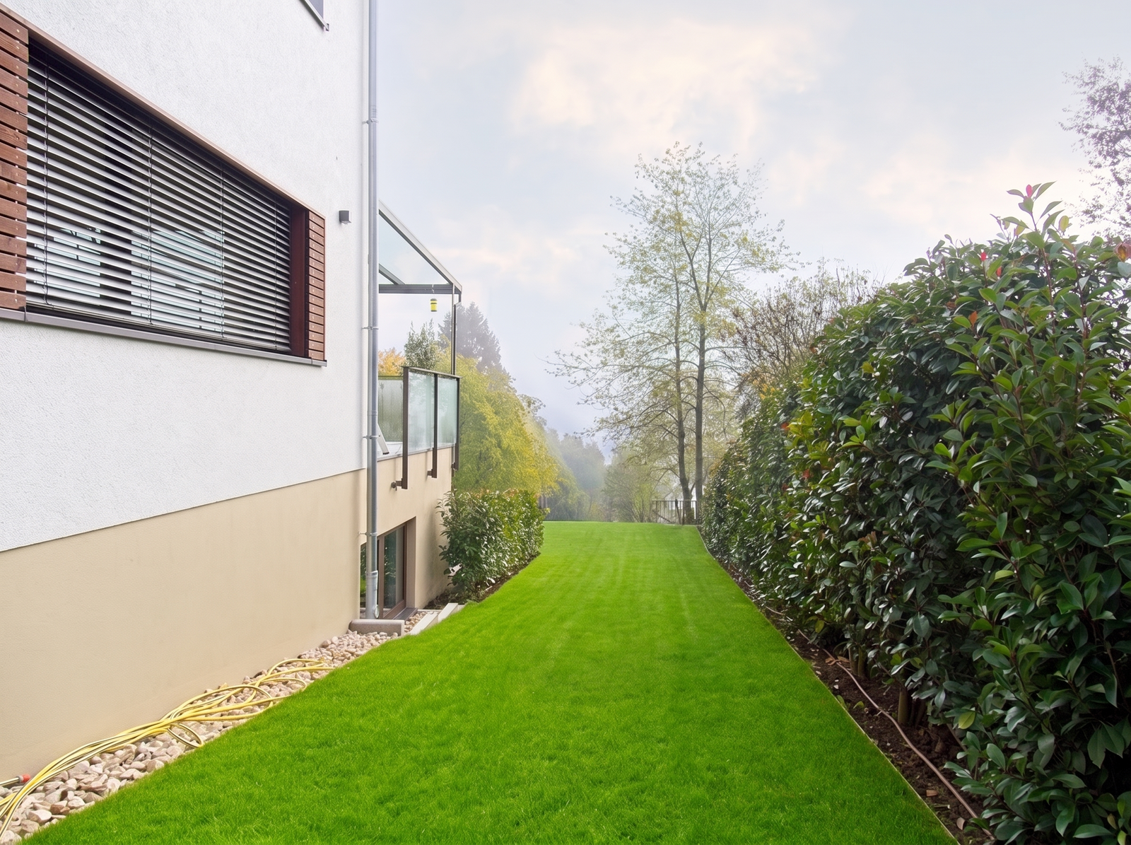 Sichtschutzbepflanzung Gartenbau Sebastian Laub      